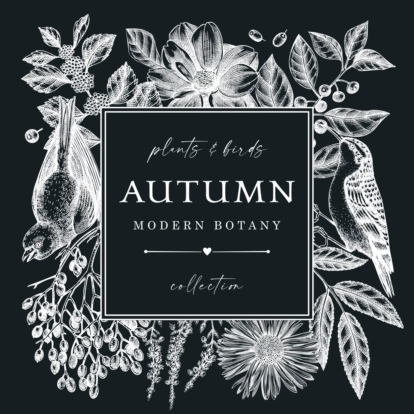 Hand sketched autumn design with birds. Elegant botanical square template with autumn leaves, berries, flowers and birds sketches on chalkboard. Perfect for invitation, cards, flyers, menu, labels. Illustration